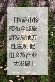 拉萨市将颁布全域旅游发展地方性法规 促进文旅产业大发展
