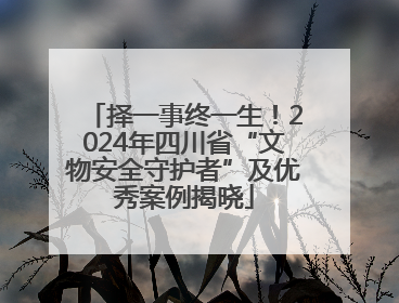 择一事终一生！2024年四川省“文物安全守护者”及优秀案例揭晓
