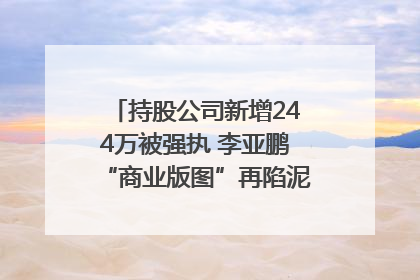 持股公司新增244万被强执 李亚鹏“商业版图”再陷泥潭？｜科技观察