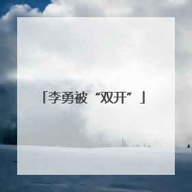 李勇被“双开”