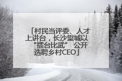 村民当评委、人才上讲台，长沙望城以“擂台比武” 公开选聘乡村CEO