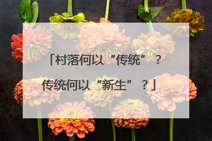 村落何以“传统”？传统何以“新生”？