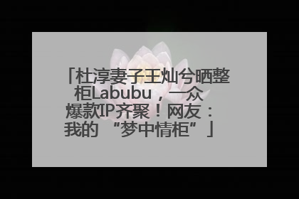 杜淳妻子王灿兮晒整柜Labubu，一众爆款IP齐聚！网友：我的 “梦中情柜”
