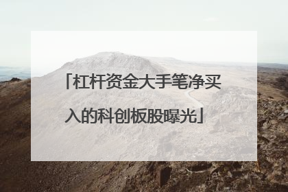 杠杆资金大手笔净买入的科创板股曝光