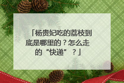 杨贵妃吃的荔枝到底是哪里的？怎么走的“快递”？