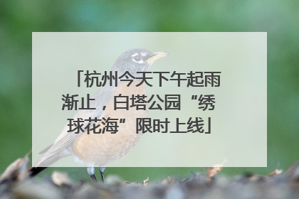 杭州今天下午起雨渐止，白塔公园“绣球花海”限时上线