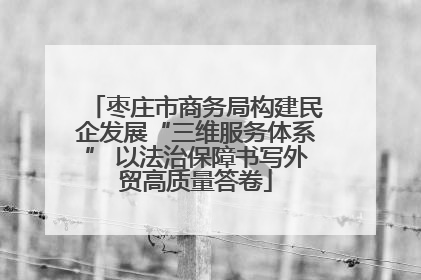 枣庄市商务局构建民企发展“三维服务体系” 以法治保障书写外贸高质量答卷