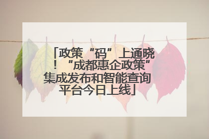 政策“码”上通晓！“成都惠企政策”集成发布和智能查询平台今日上线