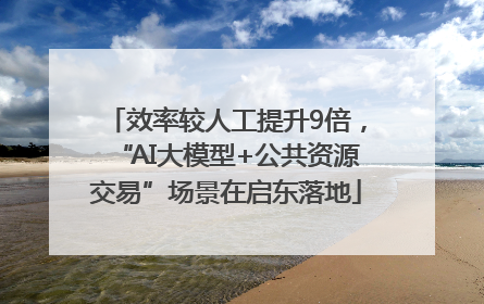 效率较人工提升9倍，“AI大模型+公共资源交易”场景在启东落地