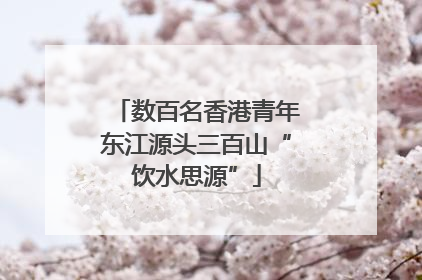 数百名香港青年东江源头三百山“饮水思源”