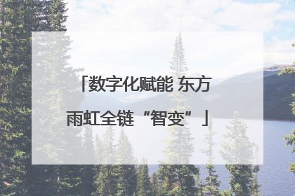 数字化赋能 东方雨虹全链“智变”