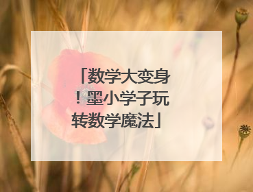 数学大变身！墨小学子玩转数学魔法