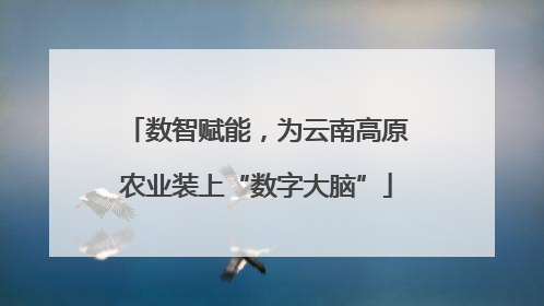 数智赋能，为云南高原农业装上“数字大脑”