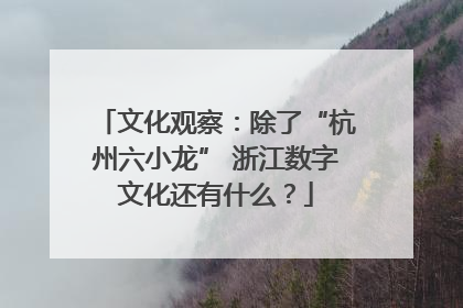 文化观察：除了“杭州六小龙” 浙江数字文化还有什么？