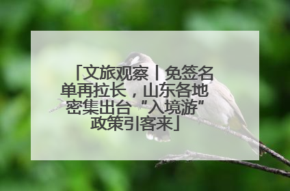 文旅观察丨免签名单再拉长，山东各地密集出台“入境游”政策引客来