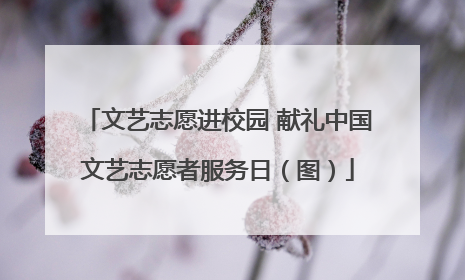 文艺志愿进校园 献礼中国文艺志愿者服务日（图）