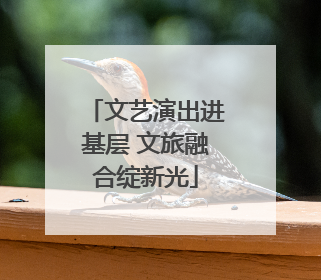 文艺演出进基层 文旅融合绽新光