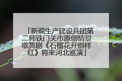 新疆生产建设兵团第二师铁门关市原创情景歌舞剧《石榴花开别样红》将来河北巡演