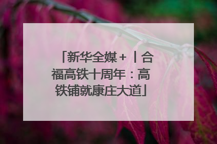 新华全媒＋丨合福高铁十周年：高铁铺就康庄大道