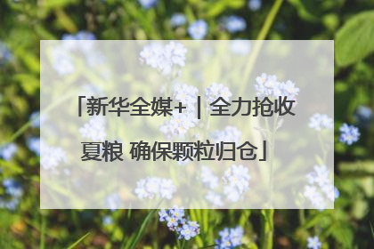 新华全媒+｜全力抢收夏粮 确保颗粒归仓