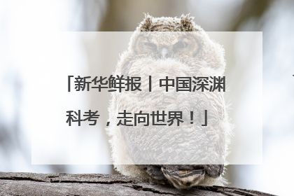 新华鲜报丨中国深渊科考，走向世界！