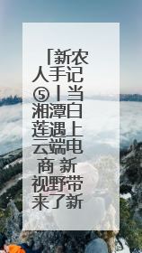 新农人手记⑤丨当湘潭白莲遇上云端电商 新视野带来了新路径