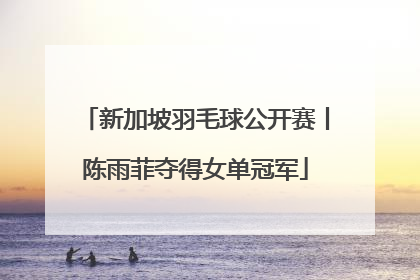 新加坡羽毛球公开赛丨陈雨菲夺得女单冠军