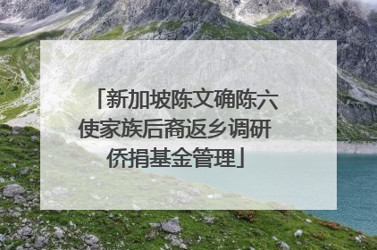 新加坡陈文确陈六使家族后裔返乡调研侨捐基金管理