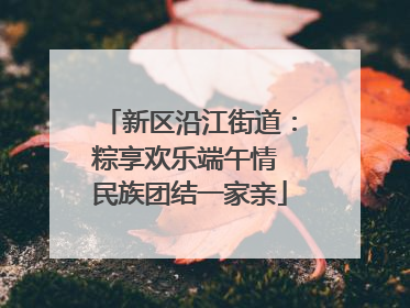 新区沿江街道：粽享欢乐端午情 民族团结一家亲