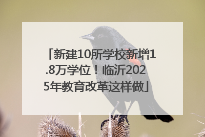 新建10所学校新增1.8万学位！临沂2025年教育改革这样做