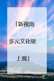 新视角 多元文化壁上观
