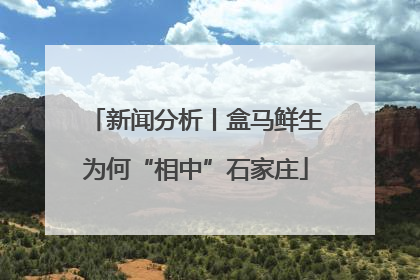 新闻分析丨盒马鲜生为何“相中”石家庄