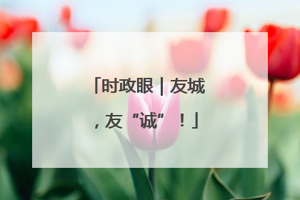 时政眼｜友城，友“诚”！