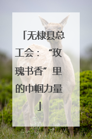 无棣县总工会：“玫瑰书香”里的巾帼力量