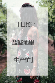 日照：盐碱地里生产忙