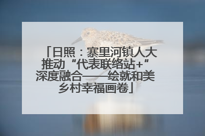 日照：寨里河镇人大推动“代表联络站+”深度融合——绘就和美乡村幸福画卷