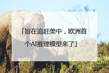 旨在追赶美中，欧洲首个AI推理模型来了