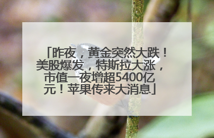 昨夜，黄金突然大跌！美股爆发，特斯拉大涨，市值一夜增超5400亿元！苹果传来大消息