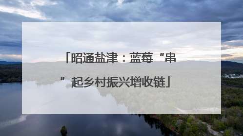 昭通盐津：蓝莓“串”起乡村振兴增收链