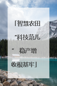 智慧农田“科技范儿” 稳产增收根基牢