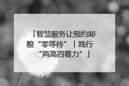 智慧服务让预约卸粮“零等待”丨践行“两高四着力”