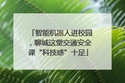 智能机器人进校园，聊城这堂交通安全课“科技感”十足