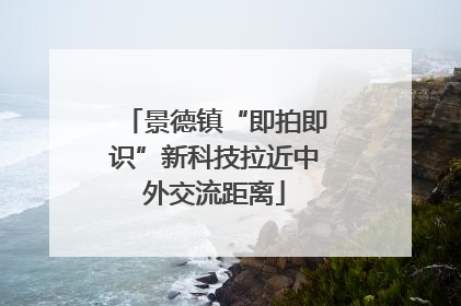景德镇“即拍即识”新科技拉近中外交流距离