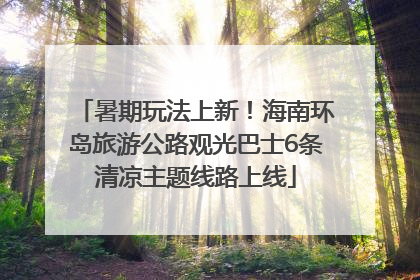 暑期玩法上新！海南环岛旅游公路观光巴士6条清凉主题线路上线