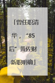 曾任职清华，“85后”黄佐财新职明确