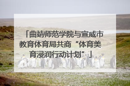 曲靖师范学院与宣威市教育体育局共商“体育美育浸润行动计划”