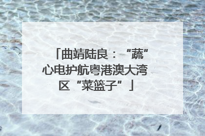 曲靖陆良：“蔬”心电护航粤港澳大湾区“菜篮子”