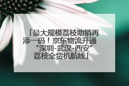 最大规模荔枝助销再添一码！京东物流开通“深圳-武汉-西安” 荔枝全货机航线