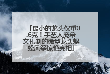 最小的龙头仅重0.6克！手艺人庞希文扎制的微型龙头蜈蚣风筝惊艳亮相