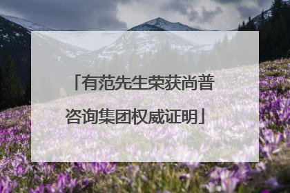 有范先生荣获尚普咨询集团权威证明